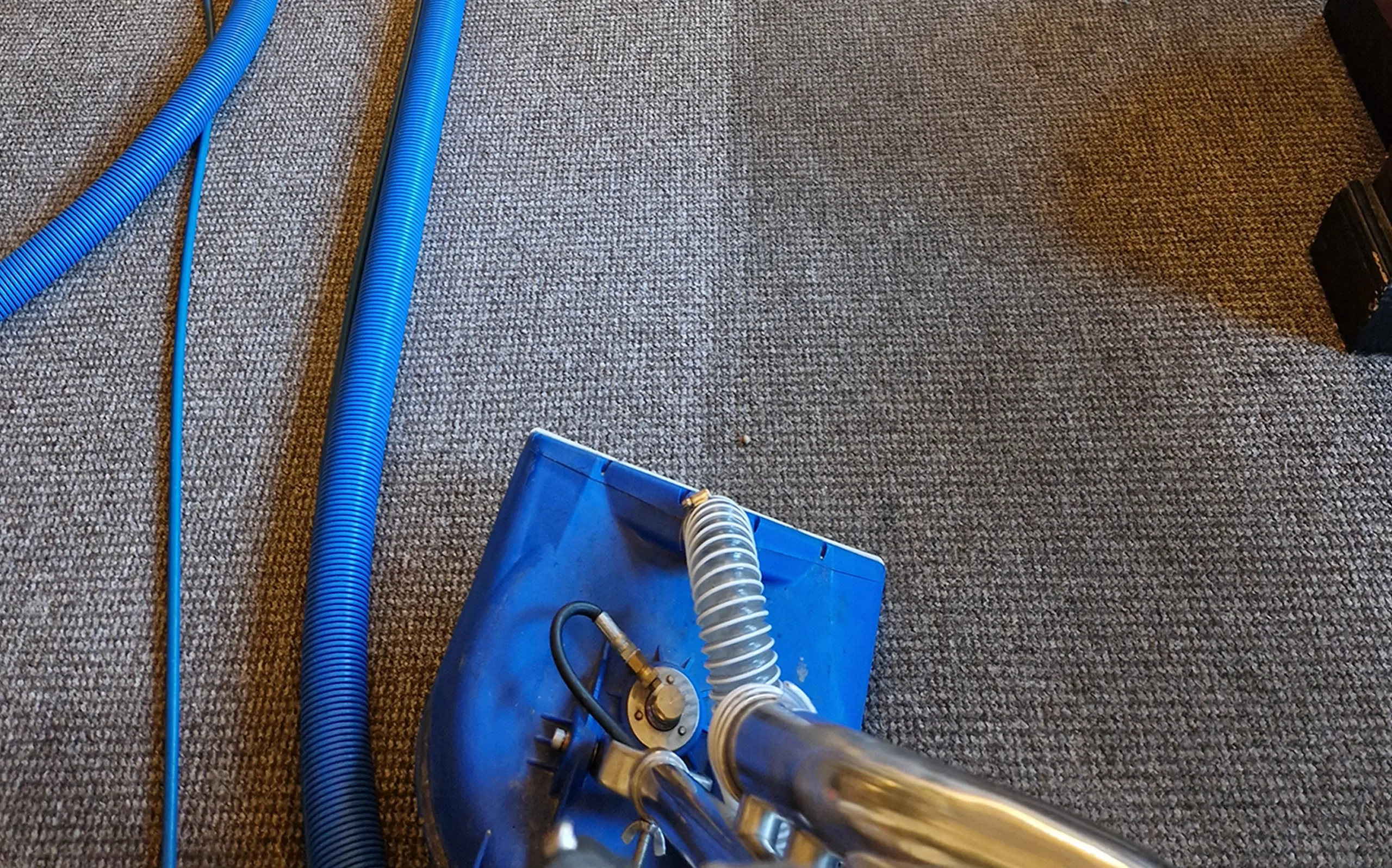 steam cleaning for carpets